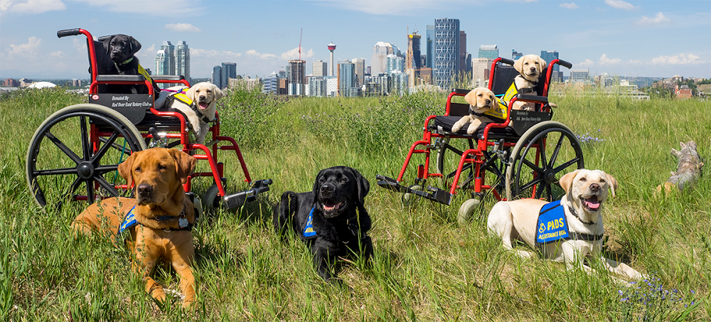 Pacific Assistance Dogs – Calgary Training Centre