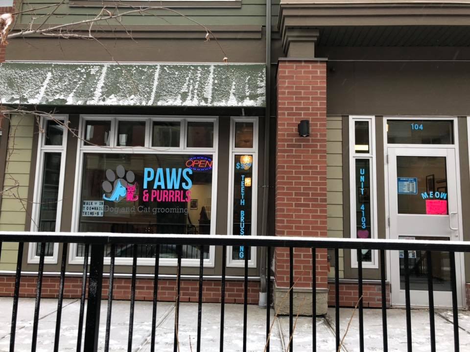 Paws & Purrrls Dog and Cat grooming