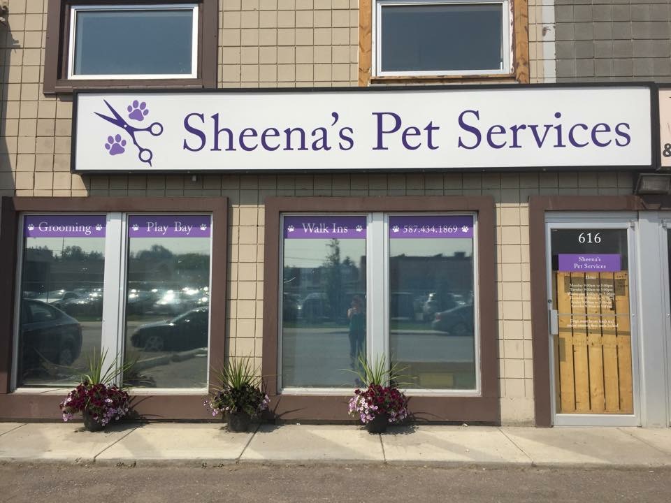 Sheena’s Pet Services